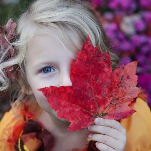 Herfst